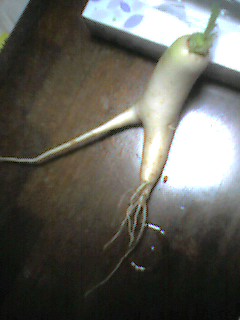 050810_1738001.jpg