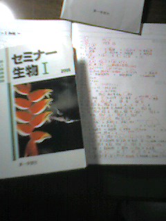 今日の勉強！