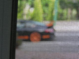 P9020502 P9020502