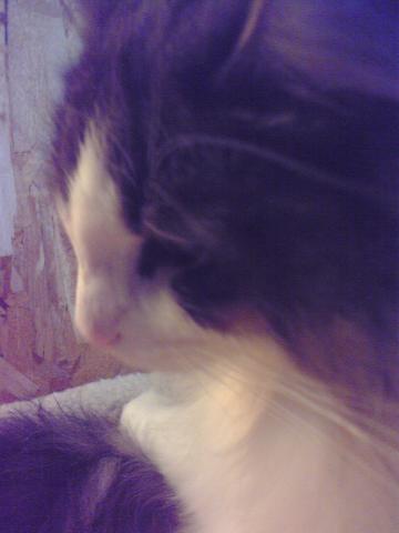 画像テスト★